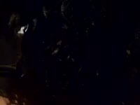 Je suis une femme sensuelle, naturelle et pleine de charme. J’aime prendre le temps de créer une vraie connexion, d’écouter, de séduire et de faire rêver. Avec moi, chaque moment est unique : douceur, rires et plaisir partagé. Laisse-toi emporter par mon énergie positive... tu n’auras qu’une envie : revenir encore et encore.