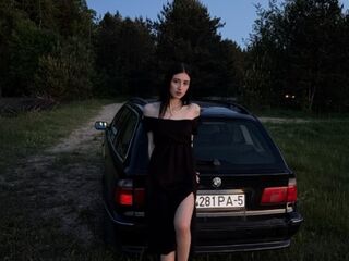 cambitch ArdithVentur