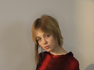free live chatroom BellEltzroth